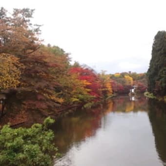能代、五所川原、弘前の旅