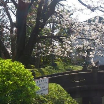 いだてんが走った浅草六区