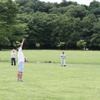 束の間の晴れ間