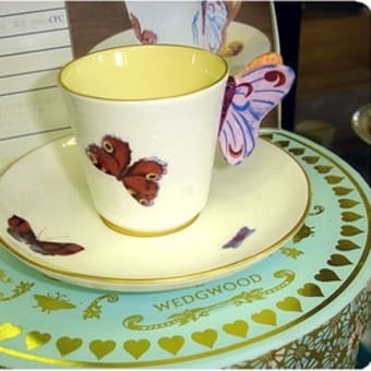 ✧WEDGWOOD✧素敵な食器入荷しました！