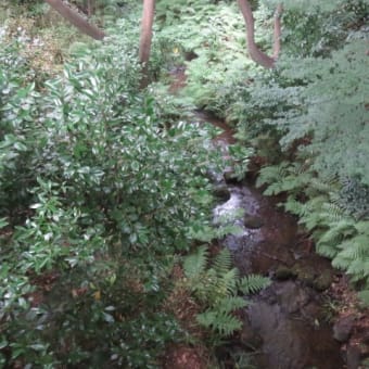 2017年6月28日　水曜日　「椿山荘」③