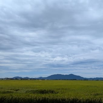 どうでもいいこと４日間