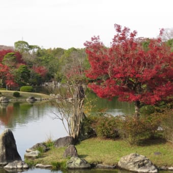 11/29  秋のバスツアー、万博記念公園の日本庭園で秋の風情を楽しみました
