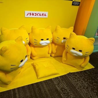 白泉社の謝恩会に行ってきました！