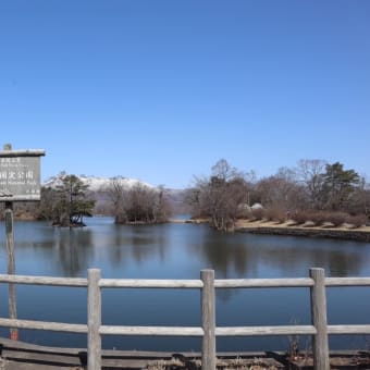 日帰りで函館から大沼国定公園へ(滞在時間2時間)
