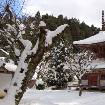 真言密教の聖地　高野山