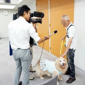 セイラの高齢犬表彰式