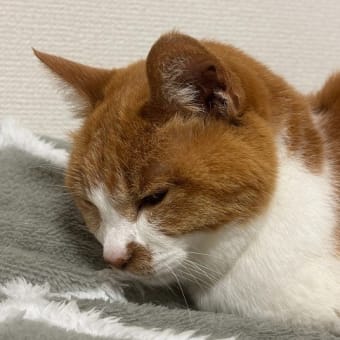 今日のお病院