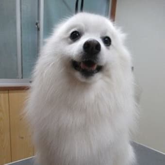 1週間の仕事が無事終了致しました～！！