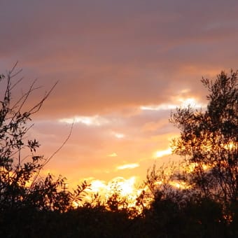 秋の夕暮れ、久々の更新だよ！