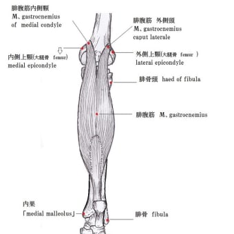 学力向上