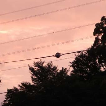 夕映えに梅雨入り間じかを感じる