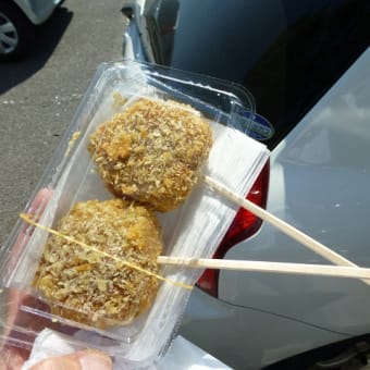 クァンタム・オブ・ザ・シーズ！広島初入港！！