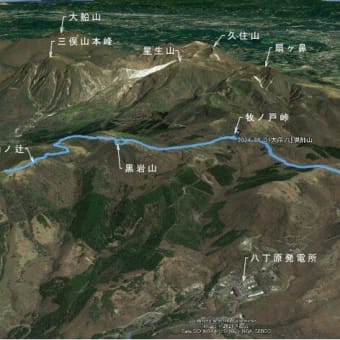 １日．大崩ノ辻と猟師山のミヤマキリシマを観に