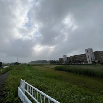 酷暑を回避