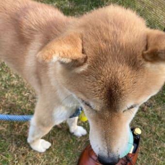 休日のルーチン