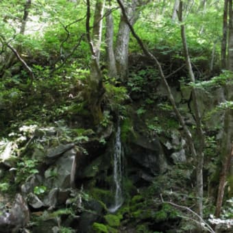 鹿沢高原