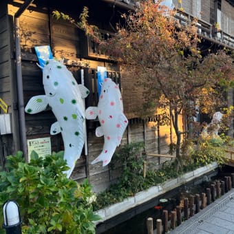 3年ぶりの旅行は川越
