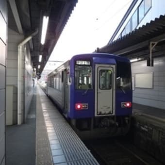 看取り、なし