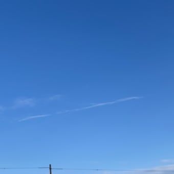あけましておめでとうございます。