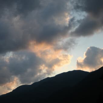 令和7年7月15日・涼しい一日になりました。