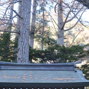 上高地散策(平湯温泉)と飛騨高山