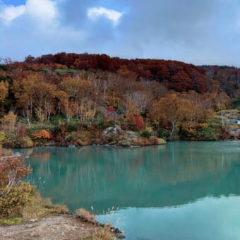 紅葉