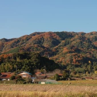 三島族はフェニキア人だった？