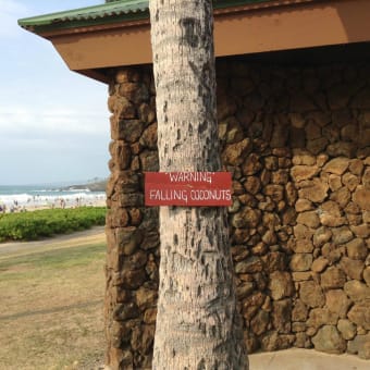 ハワイ旅行 その29 12/31 Hapuna Beachでひと泳ぎ