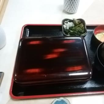 2017年8月1日　鰻の「宮川」