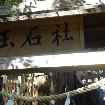 Lead Uemori to Tamaki Shrine!
