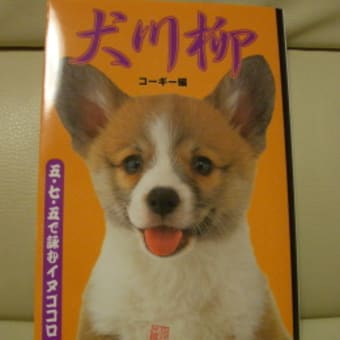 犬川柳　～コーギー編～