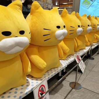 ノラネコぐんだん