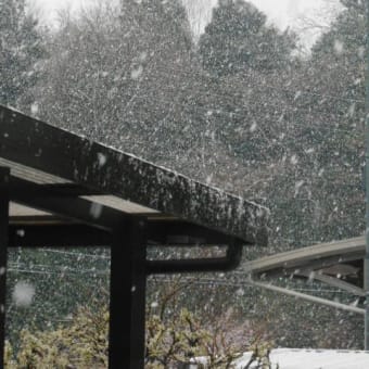 ４月なのに雪(゜.゜)