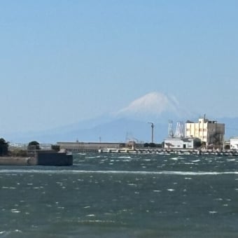 しばらくお休みしていたら