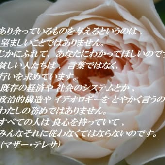 その翼にはいやす力がある