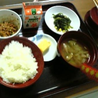 札幌市食習慣失敗