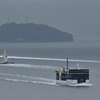 今日も、早い帰宅記録の更新だな、、、（汗）