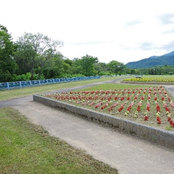 倶知安町レルヒ 記念公園