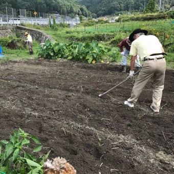 花と野菜