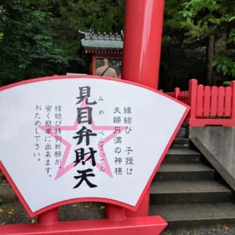 南伊豆【縁結びの御礼参り】⛩️伊古奈比咩神社⛩️熊野神社