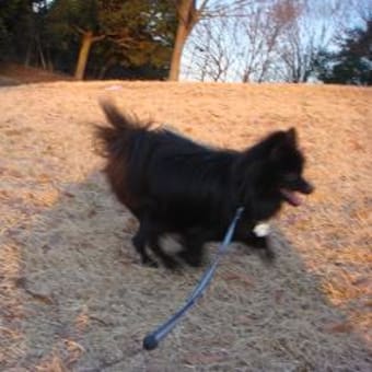 ずっと一緒に・・・。