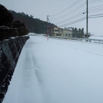 寒波襲来も春近しかな？