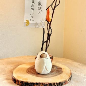 七夕の日に、ねがいを放つ