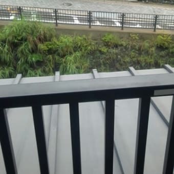 宿の窓から
