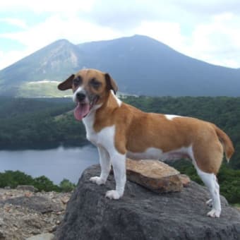 白鳥山・えびの高原池めぐり