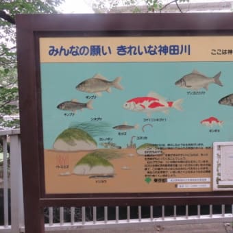 2017年6月26日　月曜日　「椿山荘」蛍の夕べ
