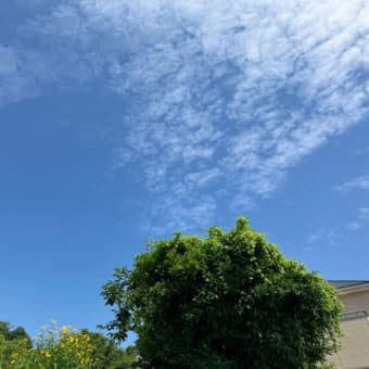 久しぶりの面会