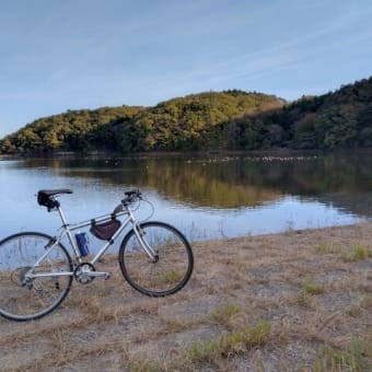 公園へサイクリングしてその後床下収納自転車