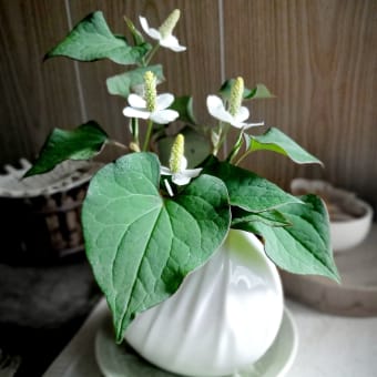 目覚めた時から